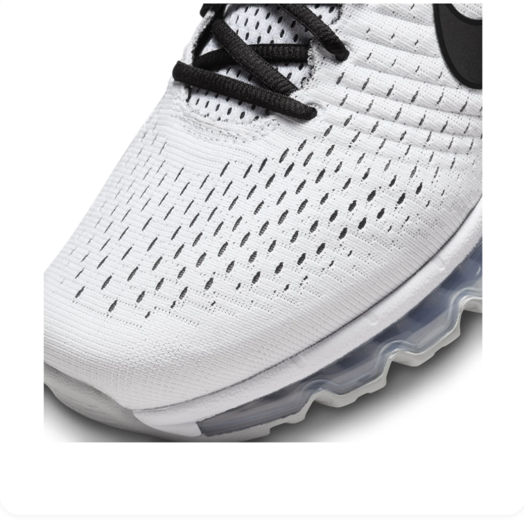 Nike Air Max White & Black Low-Top Sneakers