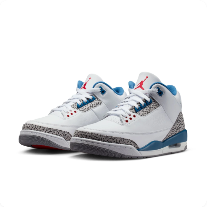 Air Jordan 3 White & Blue Sneakers with Elephant-Print Details