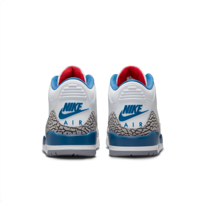 Air Jordan 3 White & Blue Sneakers with Elephant-Print Details